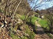 23 Passaggio a cascina in radura prativa